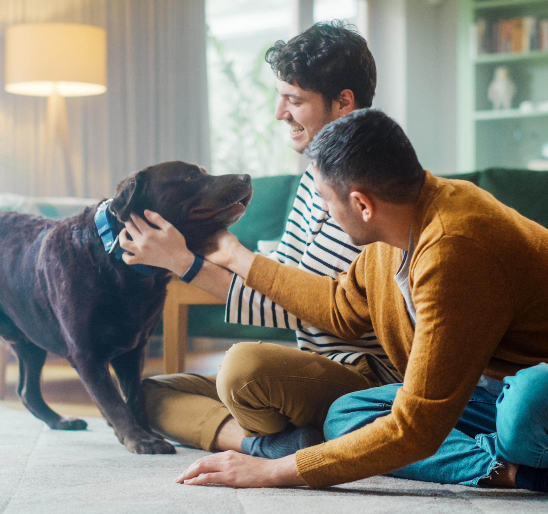 Two men sit in their lounge laughing as the play with Labrador dog.